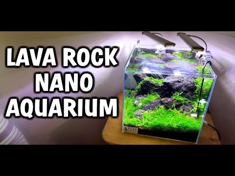 Lava Rock Nano Aquarium Setup Nano Aquarium Kansas City Comic Con