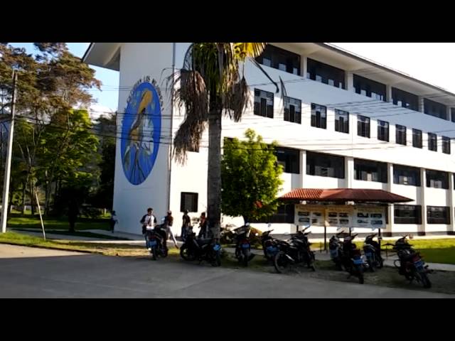 National University of the Selva Tingo María video #1