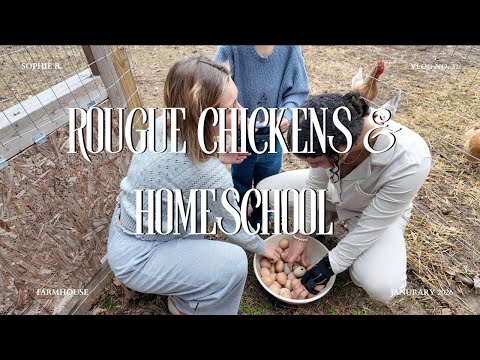 WHAT THEY DONT TELL YOU ABOUT OWNING CHICKENS
