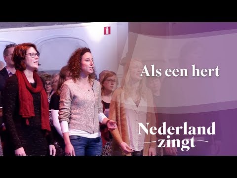 Nederland Zingt: Als een hert