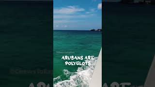 5 things that surprised me about Aruba #aruba #caribbean #travel #blacktraveler #explore