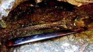 Download lagu MENGEJUTKAN,,NIAT CARI EMAS MALAH DAPAT KERIS PETIR~THE WORLD'S EXPENSIVE ANCIENT HERITAGE DISCOVERY mp3 Download lagu MENGEJUTKAN,,NIAT CARI EMAS MALAH DAPAT KERIS PETIR~THE WORLD'S EXPENSIVE ANCIENT HERITAGE DISCOVERY mp3