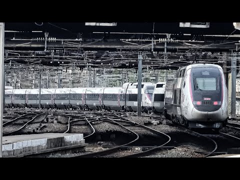 Trains at Paris Gare Du Nord Station (4K) 20-05-25