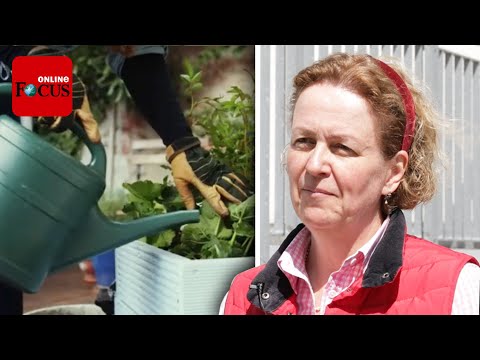 Garten-Expertin erklärt, wann Sie Ihre Pflanzen gießen sollten