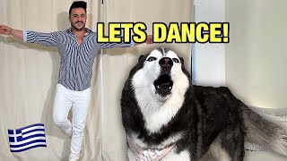 Teaching My Husky How To Dance (SHE GOES CRAZY!) 👀😳