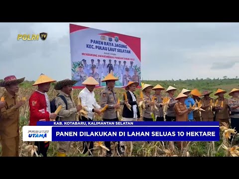 POLRES KOTABARU GELAR PANEN RAYA JAGUNG DORONG SWASEMBADA PANGAN