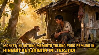 Download lagu VIRAL! MONYET INI DATANG MEMINTA TOLONG PADA PEMUDA INI HINGGA KEAJAIBAN BESAR INI TERJADI mp3