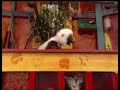 PBS Retro Wild Kratts WETA Kids Recreation 2010