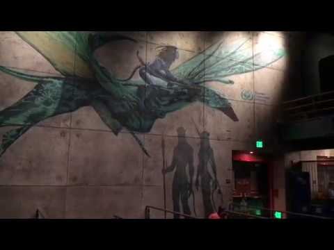 Animal Kingdom - Avatar Flight of Passage Queue