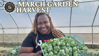 March Garden Harvest & Clean Up