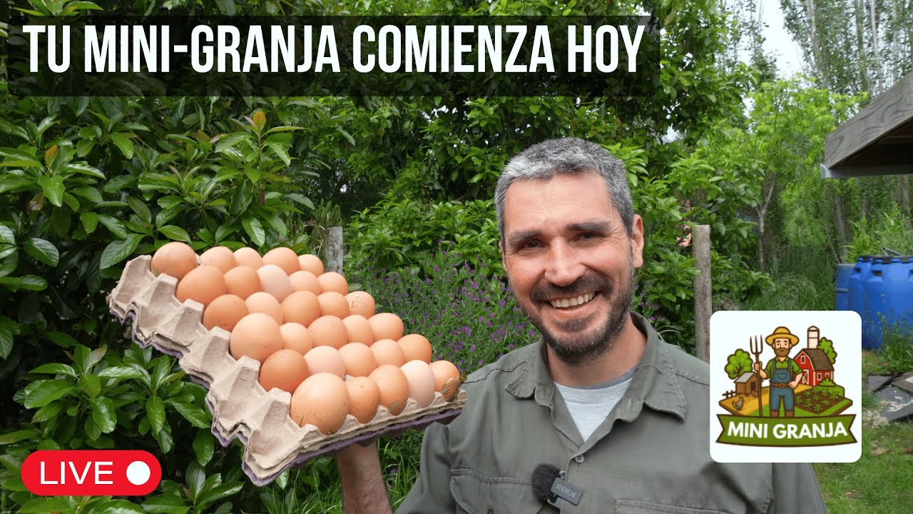 Qué es realmente una mini-granja (y cómo empezar la tuya) 👨‍🌾