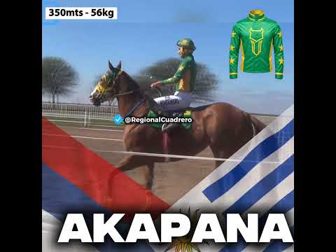 Copa Challenger HEMBRAS.. 18,19 Y 20 de septiembre- Hipico la Diosa, Tres isletas Chaco.