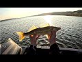 Video Thumbnail for Spring Walleye at Echo Provincial Park