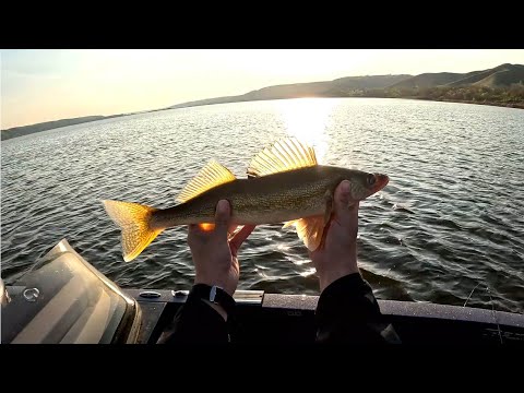 Spring Walleye at Echo Provincial Park