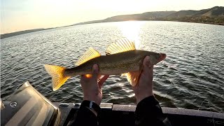 Spring Walleye at Echo Provincial Park