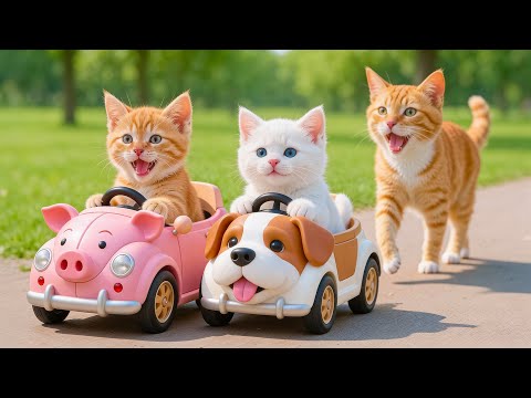 Kitten Falls Off a Bike 🚲 | Mama Cat Takes Care & Teaches Life Lessons 🐱❤️ | Heartwarming Story