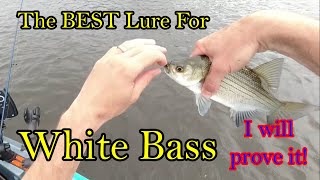 The Ultimate Lure For White Bass