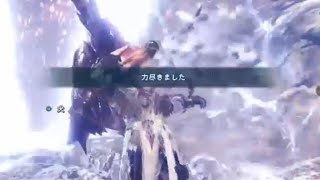 妨害する者に天罰有り【MHWI:モンスターハンターワールド アイスボーン】