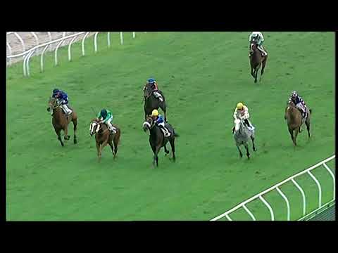 Napoli Galoppo 6/12/2021 - 4ª corsa