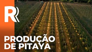 Miniatura do vídeo