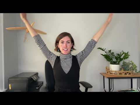 WellCoach Bri video.