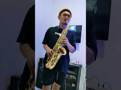 how am i supposed to live without you Michael Bolton (saxophone cover)