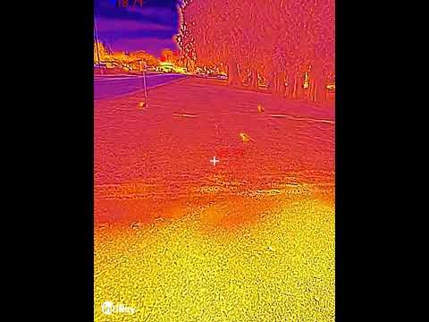 the crows Doogee s96 pro thermal camera