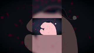 - 煮ル果実「アメリ」with Flower
