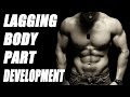Lagging Body Part? Keys to Weak Body Part Development