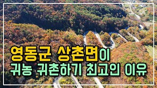 영동군 상촌면, 아름다운 자연과 풍부한 문화가 만나는 곳 - 귀농, 귀촌의 최적지