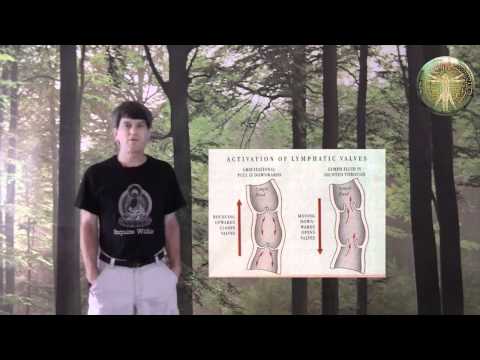 HOW TO REBOUND EXERCISE