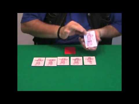 A Perfect Ten por Wild-Colombini - DVD - asdetrebol.com