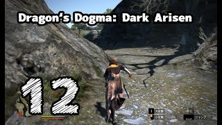 #12【Dragon's Dogma: Dark Arisen】やってたら思い出すよな【左腕のボスぬこ】
