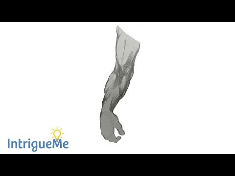 How to Draw a Person's Forearm
