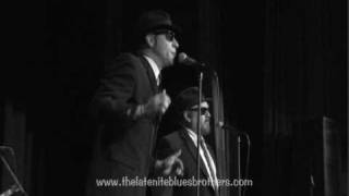 Shake a TailFeather-The Late Nite Blues Brothers