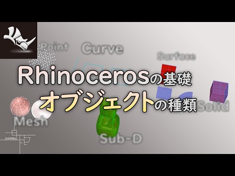 Rhinochely nammourensis