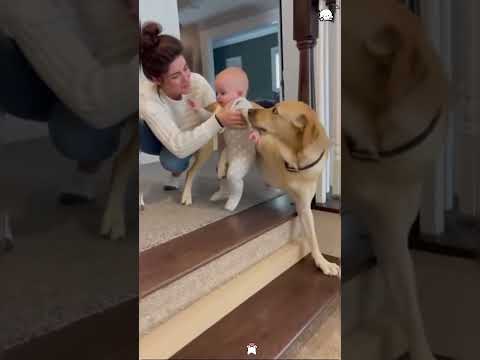 Phillies land All-Star closer Jhoan Duran ahead of MLB trade deadline 👀🔥 #JhoanDuran