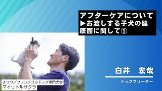 アフターケアについて▶子犬の健康面に関して①🐾 #チワワ #フレンチブルドッグ #チワワブリーダー #岡山ブリーダー #岡山県 #フレンチブルドッグブリーダー #子犬お迎え #子犬を飼う