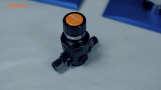 Walcom Digital Membrane Regulator – Test
