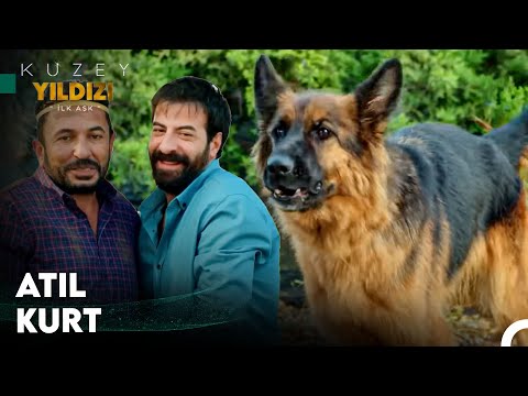 Birisi Ordu'ya Bir Şey Mi Söyledi? 🫥 - Kuzey Yıldızı İlk Aşk