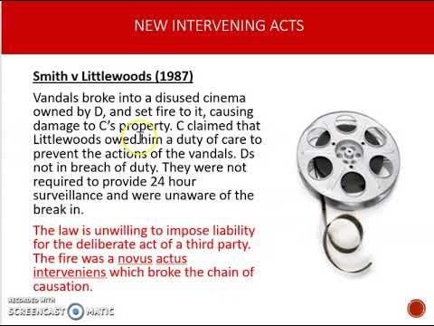 Negligence Law: The Delicate Balance of Duty and Damage