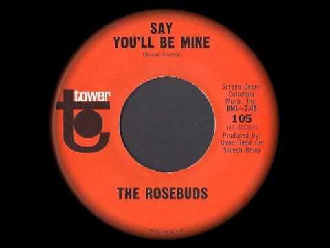 The Rosebuds - Say You'll Be Mine