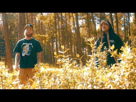 Stevie Chipz x Alfy’O - The Trees (Music Video)