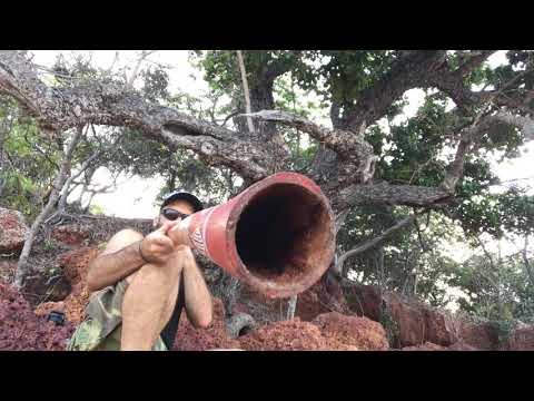 Dhapa Ganambarr yidaki