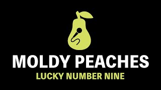 Moldy Peaches - Lucky Number Nine (Karaoke)