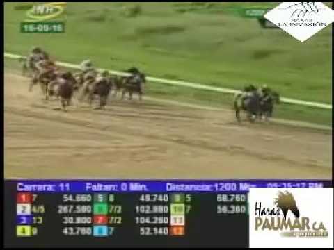 VALENCIA 11 CARRERA, VIERNES 16 DE SEPTIEMBRE DEL 2016