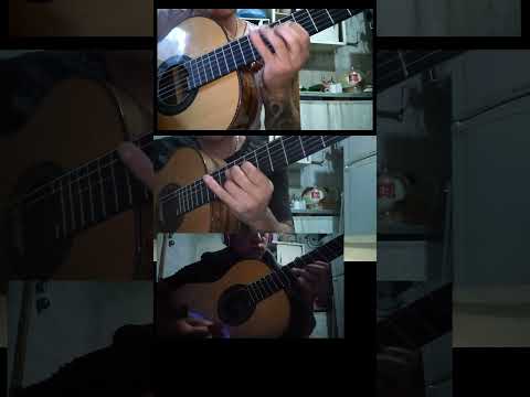 Zorro gris - Adolfo Berón