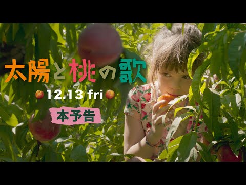 映画『太陽と桃の歌』ベルリン金獅子賞受賞作/予告編(12/13公開)