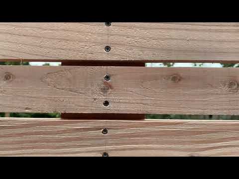 SIOO:X 3 months(ish) Scottish larch