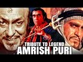 Nagina Amrish Puri